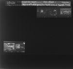 Boys home football game; ECC Theatre actors at Dogpatch dinner (5 Negatives), August 14-15, 1964 [Sleeve 42, Folder d, Box 33]